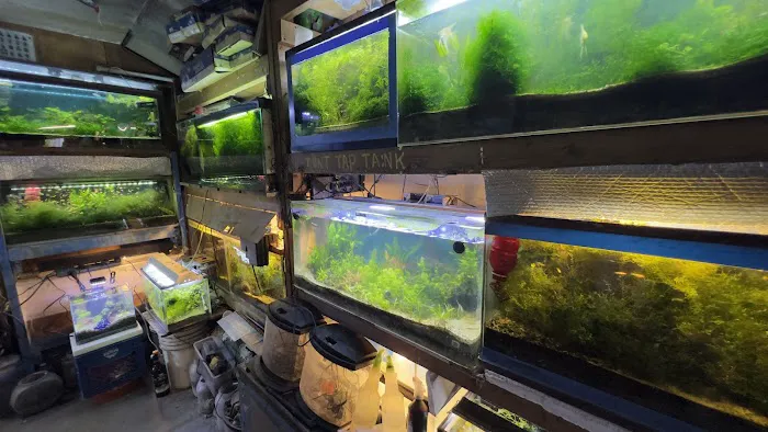Ocean Aquarium Picture 8