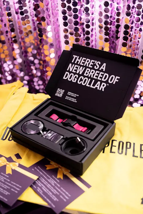 The Lounge at MISHKA Picture 5