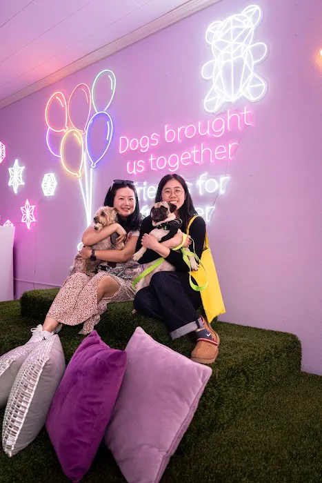 The Lounge at MISHKA Picture 6