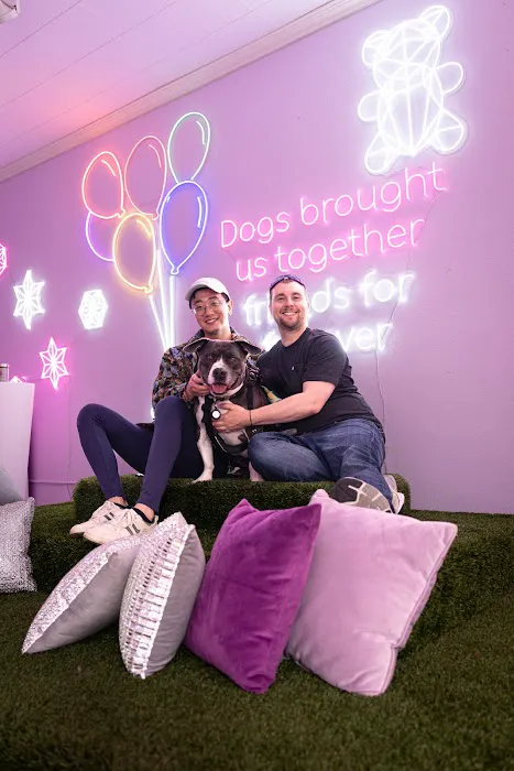 The Lounge at MISHKA Picture 9