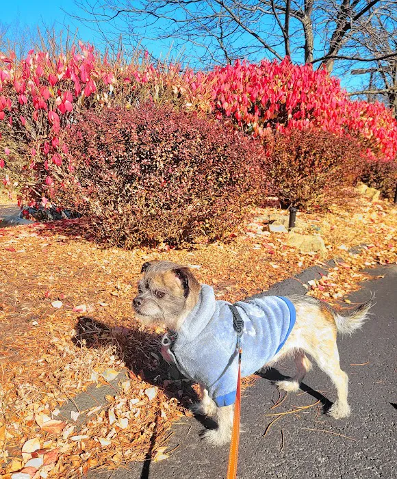 VCA Dunmore Animal Hospital Picture 1