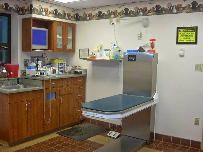 VCA Dunmore Animal Hospital Picture 6