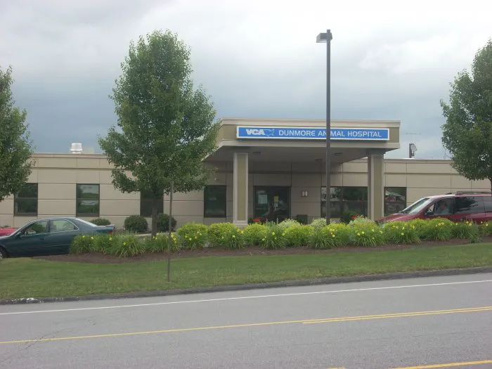 VCA Dunmore Animal Hospital Picture 5