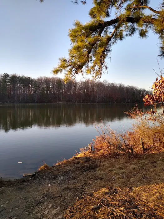 VCA Dunmore Animal Hospital Picture 4