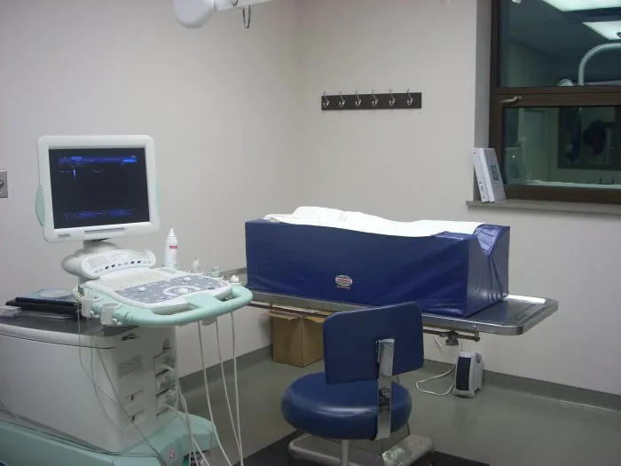 VCA Dunmore Animal Hospital Picture 8