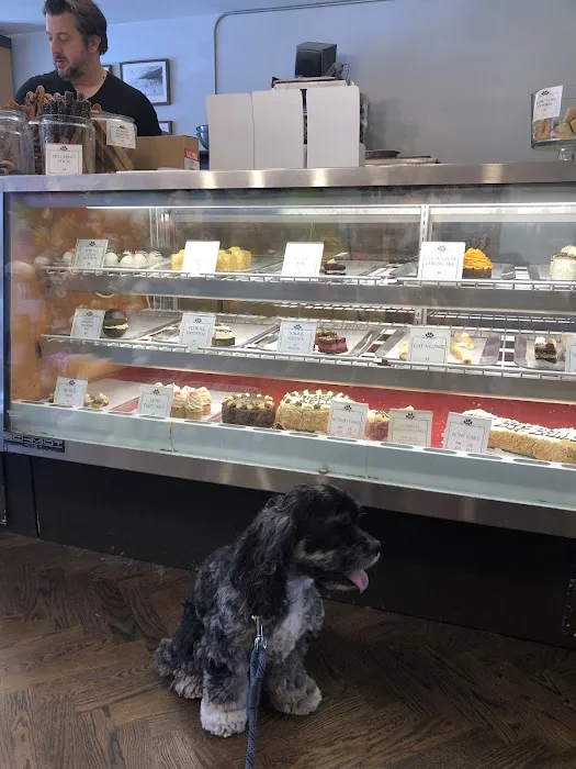 Le Marcel Bakery for Dogs Picture 5