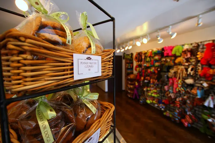 Le Marcel Bakery for Dogs Picture 6