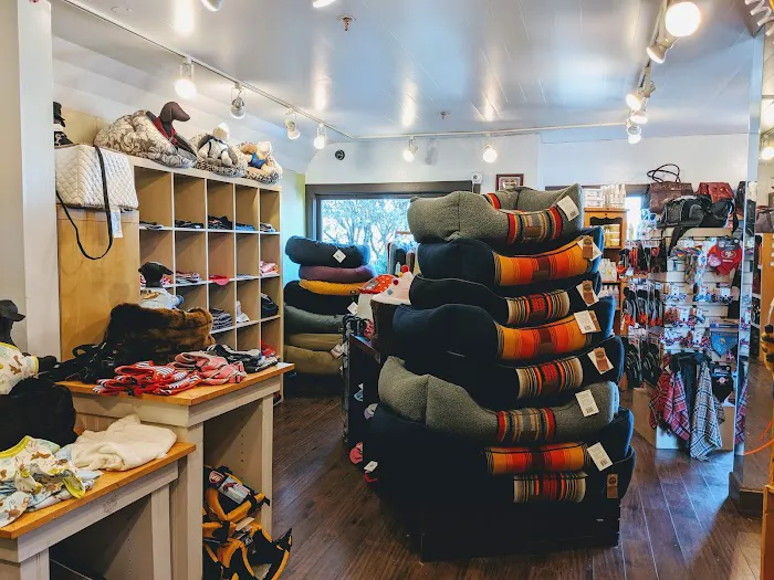 Le Marcel Bakery for Dogs Picture 9