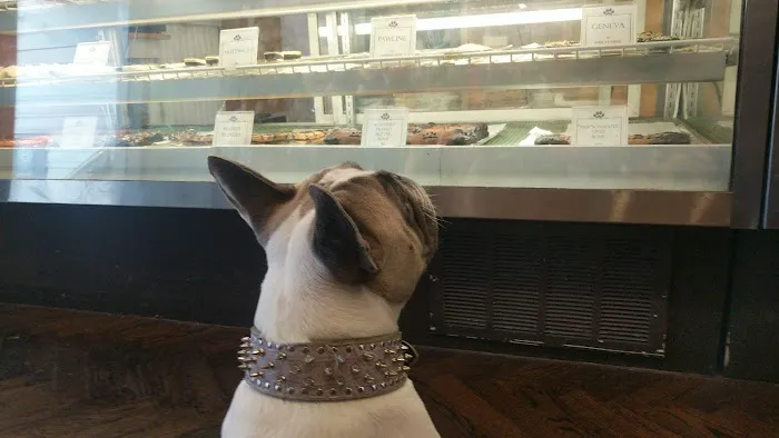 Le Marcel Bakery for Dogs Picture 10