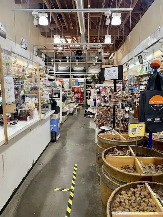 Bow Wow Meow SF Picture 2