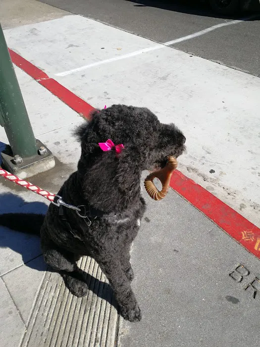 Bow Wow Meow SF Picture 6