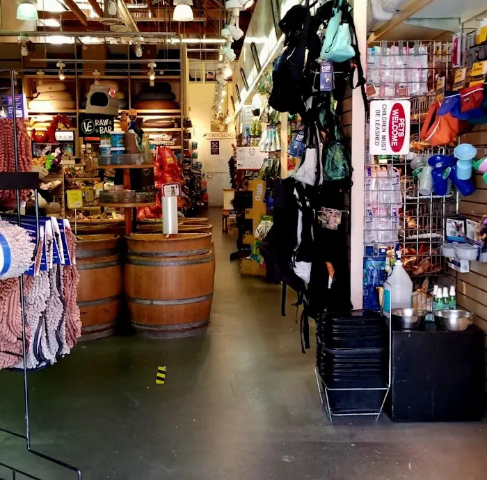 Bow Wow Meow SF Picture 8