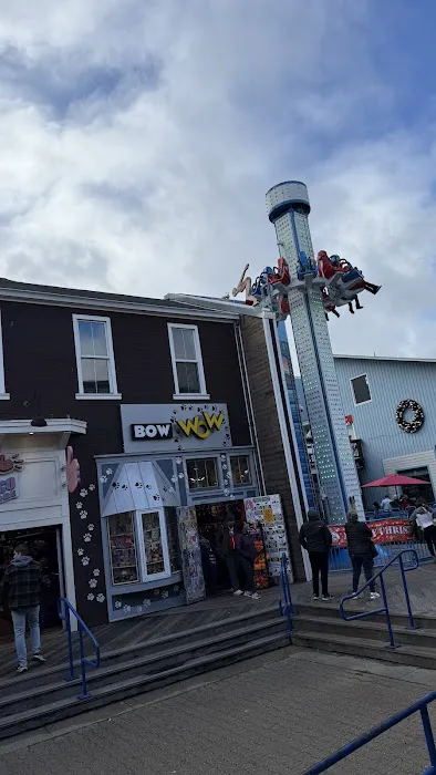 Bow Wow Meow SF Picture 10