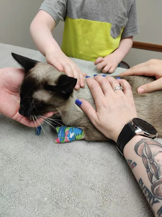 Memorial Veterinary Hospital - Throop Picture 4