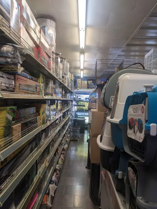 Pet Central SF Picture 2