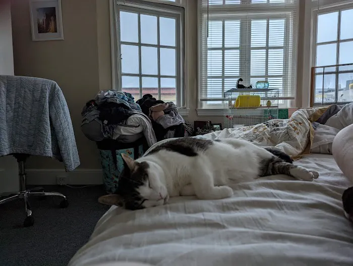 Pet Central SF Picture 3