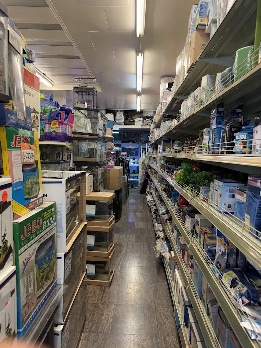 Pet Central SF Picture 5