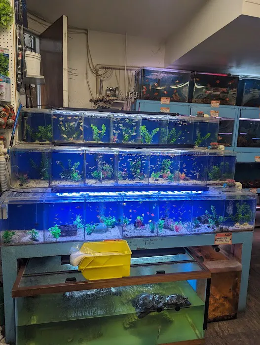 Pet Central SF Picture 7