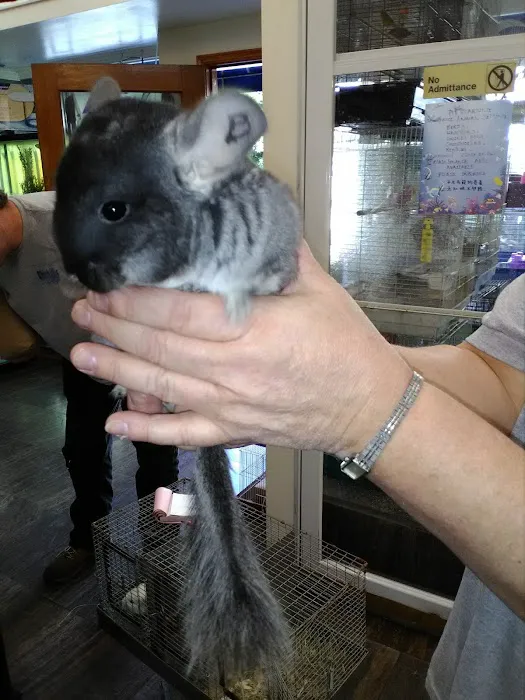 Pet Central SF Picture 9