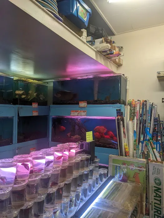 Pet Central SF Picture 10