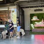 Mishka Dog Boutique (Ferry Building)