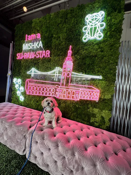Mishka Dog Boutique (Ferry Building) Picture 7