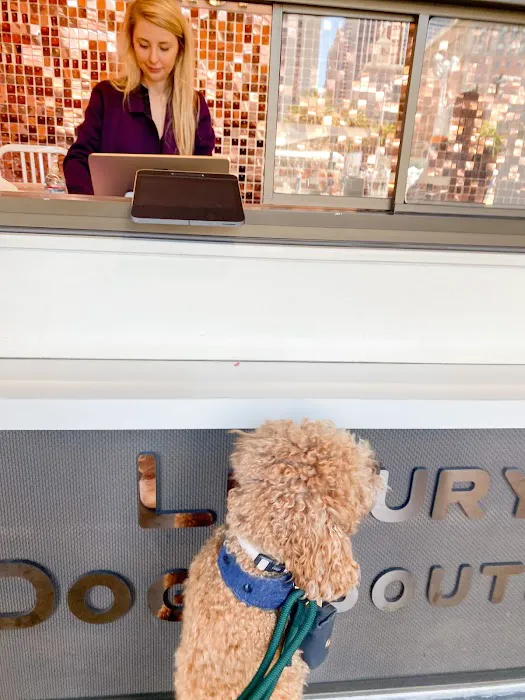 Mishka Dog Boutique (Ferry Building) Picture 8