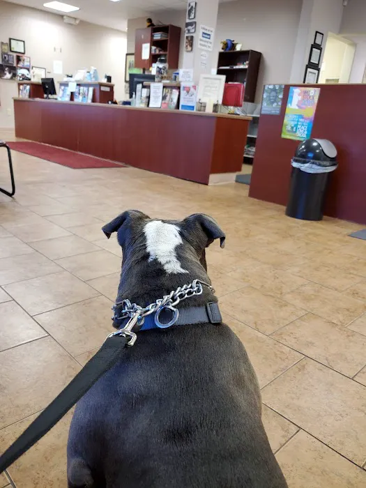 Memorial Veterinary Hospital - Dickson City Picture 2