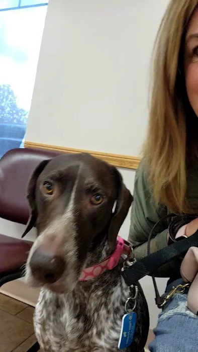 Memorial Veterinary Hospital - Dickson City Picture 5