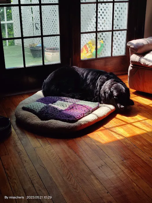 Memorial Veterinary Hospital - Dickson City Picture 8