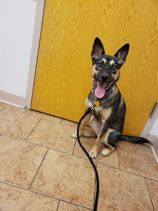 Memorial Veterinary Hospital - Dickson City Picture 9