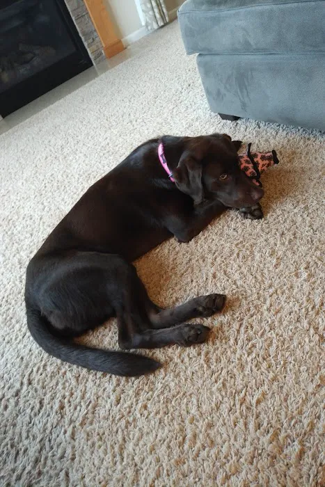 Memorial Veterinary Hospital - Dickson City Picture 10