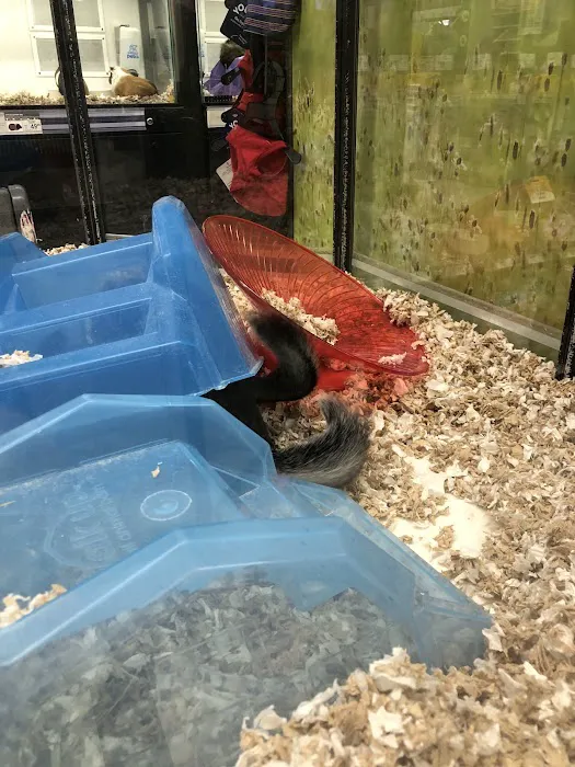 Petco Picture 9