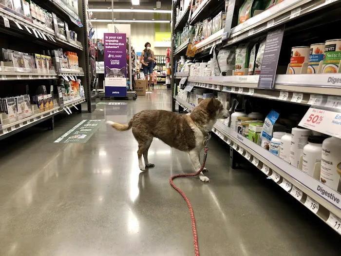 Petco Picture 3