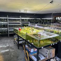 SF Aquatic ico