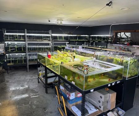 SF Aquatic