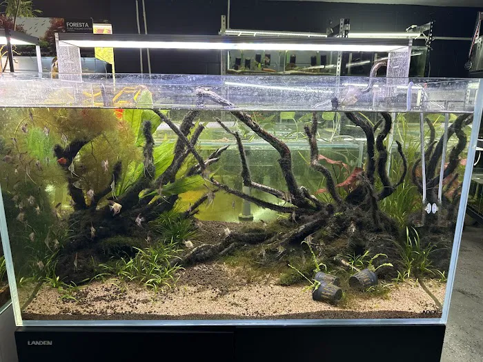 SF Aquatic Picture 5