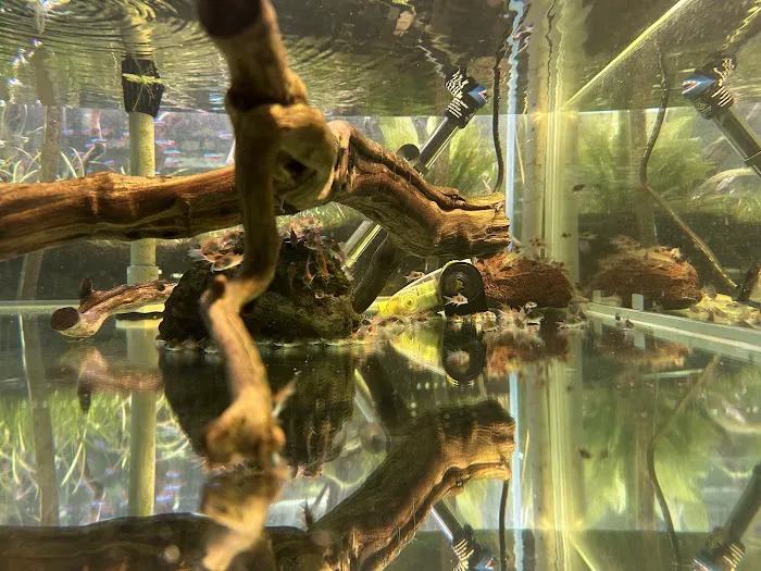 SF Aquatic Picture 4
