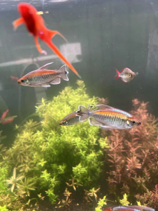 SF Aquatic Picture 7