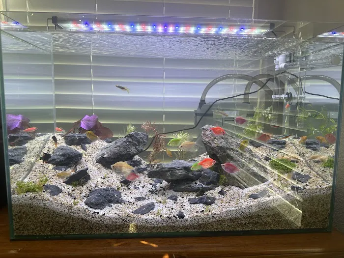 SF Aquatic Picture 8