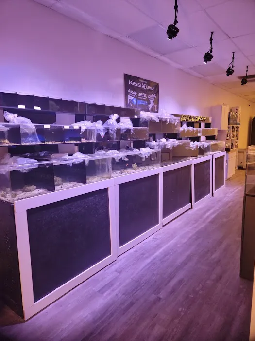 Cali Kid Corals Picture 6