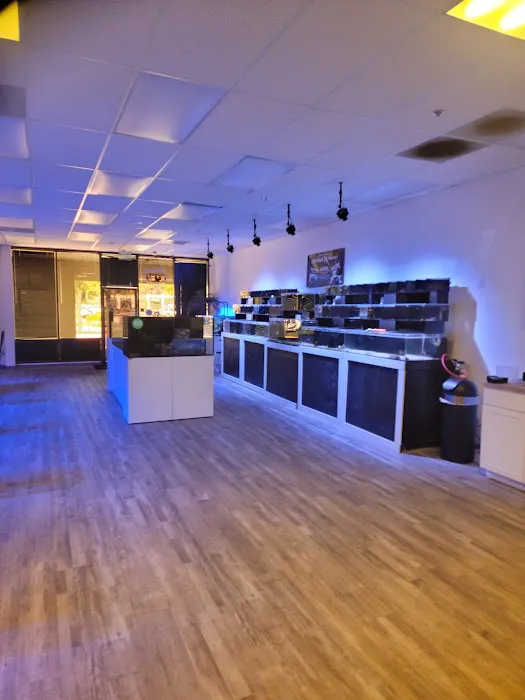 Cali Kid Corals Picture 9