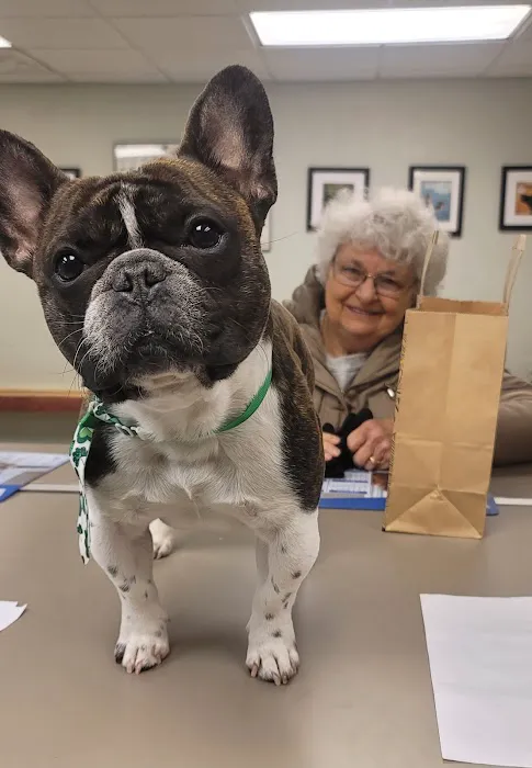 Boulevard Veterinary Care Picture 1