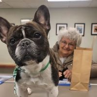 Boulevard Veterinary Care ico