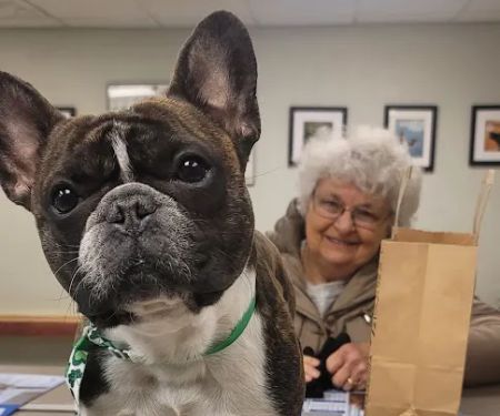 Boulevard Veterinary Care