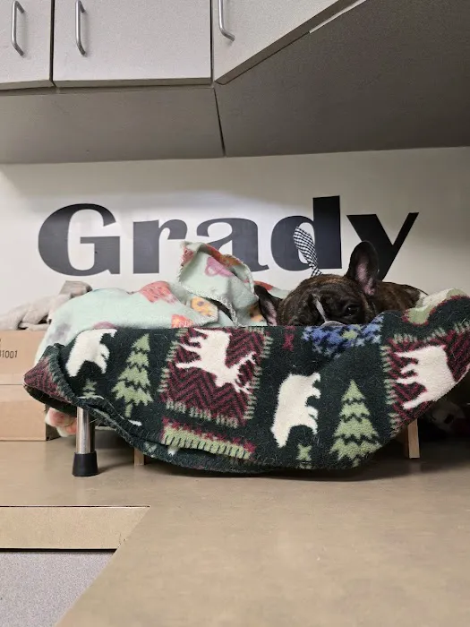 Boulevard Veterinary Care Picture 2