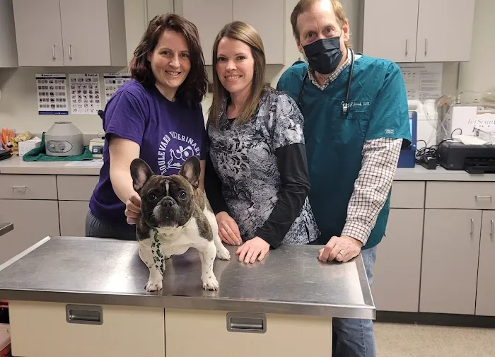Boulevard Veterinary Care Picture 3