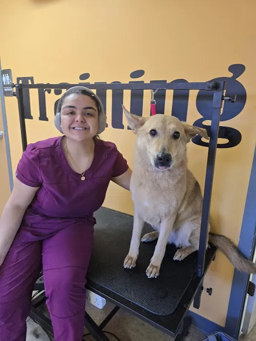 Boulevard Veterinary Care Picture 9