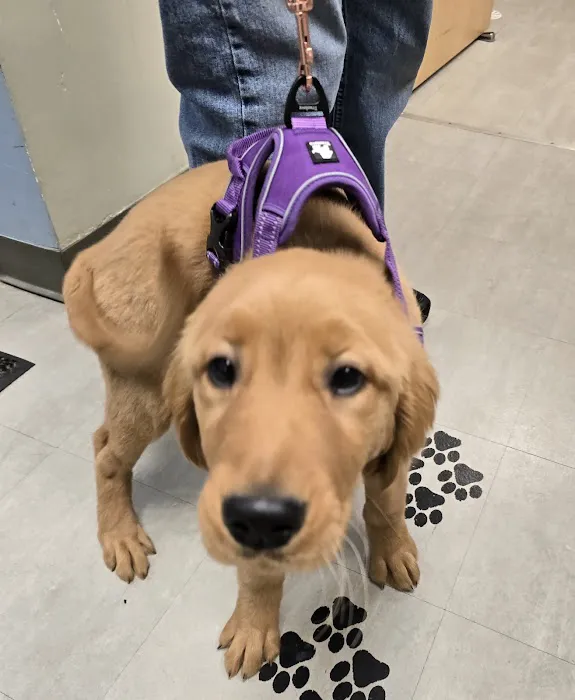 Boulevard Veterinary Care Picture 8