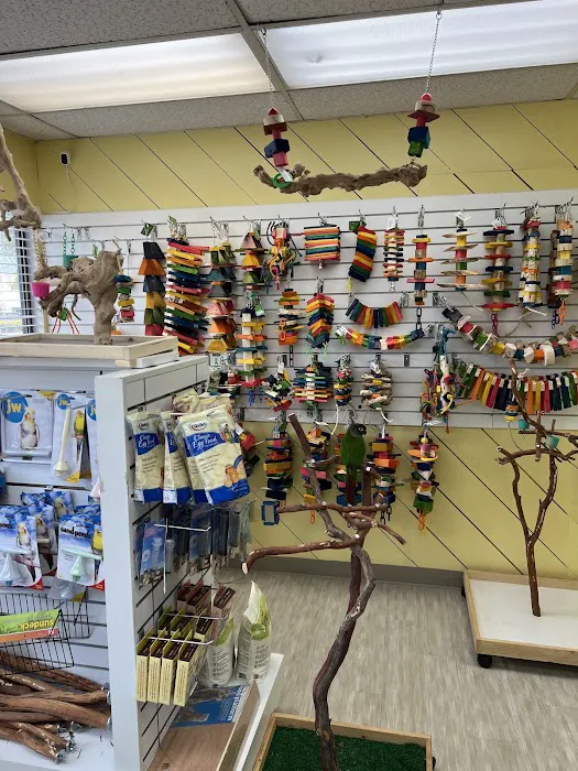 Feathered Follies Picture 3